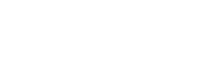 Bad Dresser logo